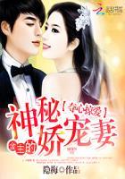 夺心总裁辣妻狂傲如人免费阅读