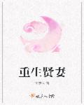 重生贤妻万事兴1-100集