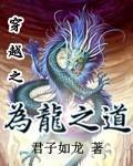 为龙之道陆铮苏映雪叫什么名字啊