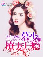 名门暖婚慕少请节制