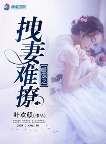 暖宠之拽妻难撩 叶欢颜