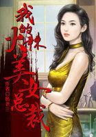 我的美女总裁1—3