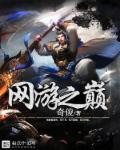 网游之巅峰王者 全集