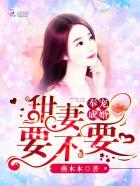 奉崽成婚免费阅读
