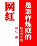 网红是怎么红起来的?