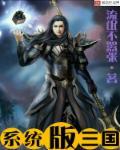 电脑版 三国