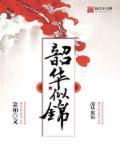 韶华似锦学书