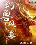 风暴幻想官方