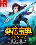 天龙八部 宝鉴