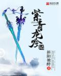 紫青龙吟记究竟好还是坏