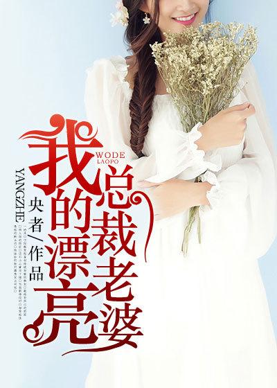 我的美女总裁老婆杨辰全文阅读