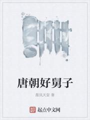 唐朝好舅子全集