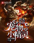 世界上有什么宠物小精灵