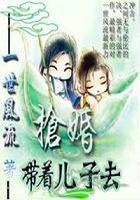 带着儿子去抢婚全文免费