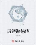 大明游侠传
