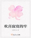 寂寞中的欢喜的那本书