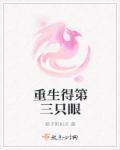 第三只眼是什么意思啊