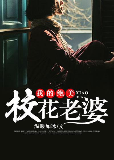 我的绝美女神老婆 笔趣阁