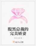 腹黑总裁的完美娇妻漫画