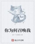 为什么要召唤我