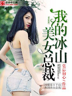 我的冰山美女总裁在线阅读