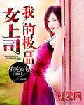 极品女士第四集电视剧免费