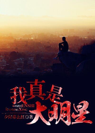 我真是大明星精校版