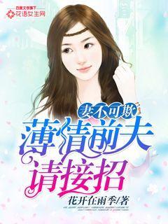 妻不可欺前夫复婚请排队
