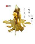 网游之江湖令 嘘嘘的萌新