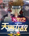 火影之天道无敌免费阅读