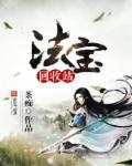 法宝技能怎么获得