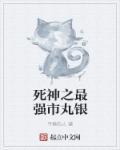 死神之最强之风免费全文