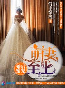 情非缘浅的最新章节更新时间