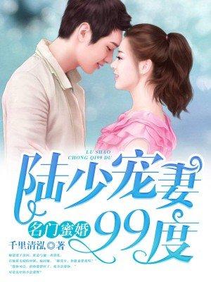 陆少宠妻百分百免费阅读