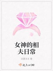 女神的天命相师