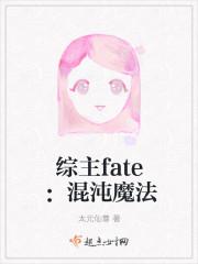 综主fate混沌魔法