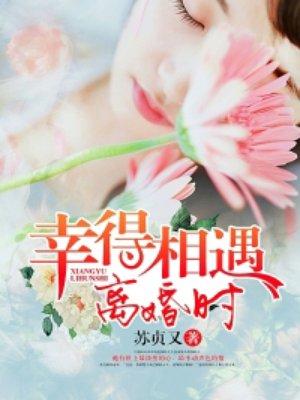 幸得相遇离婚时 第1章