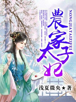 农家太子妃229集免费观看