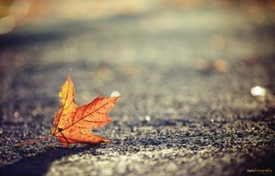 一叶知秋类似的成语