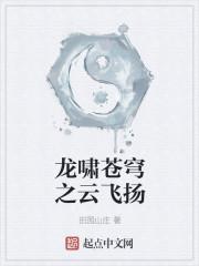 龙啸云是谁的儿子