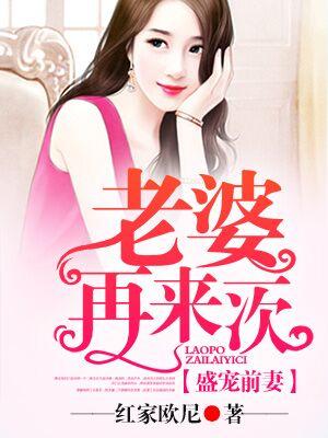 盛宠前妻老婆再来一次