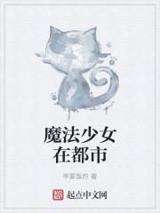 梦想成为魔法少女全季