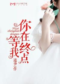 你在终点等我王菲完整版