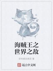 海贼王之最强之敌 2012