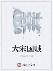 大宋怎么亡国