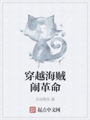 穿越海贼王之加入革命军