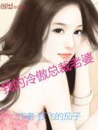 我的冷傲总裁老婆夏冰