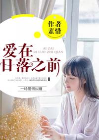 爱在日落之前续写
