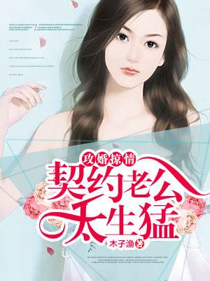 攻婚掠情契约老公太生猛 木子渔