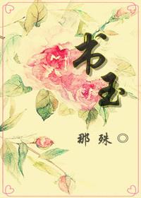 青木年华之谭书玉解析